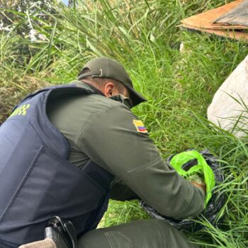 Policías incautaron gran cantidad de estupefacientes en la carrilera del barrio Versalles 2