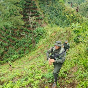 6 capturados por diferentes delitos en municipios: el balance de Policía Tolima 3