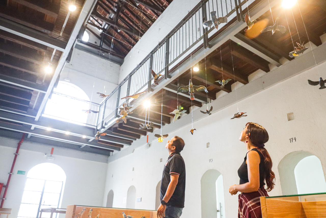 Más de 30.000 visitantes recorrieron el Museo Panóptico de Ibagué durante el 2024 3