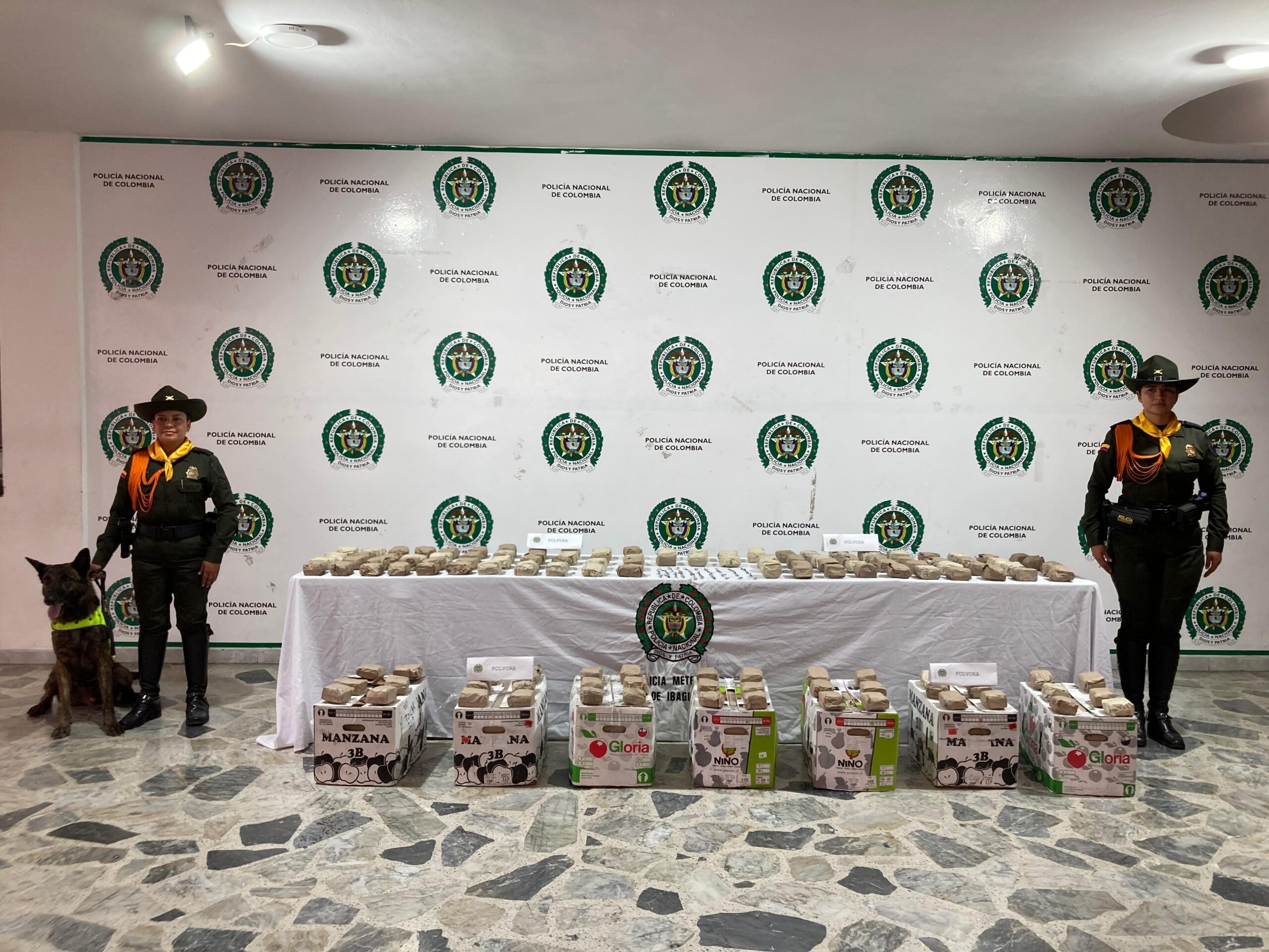 Policía de Ibagué incautó elementos pirotécnicos avaluados en $26 millones 4