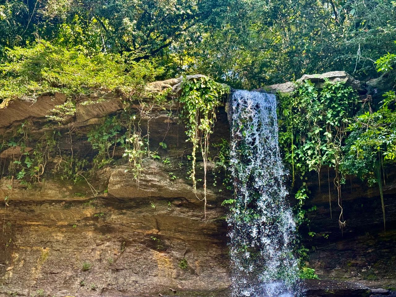 Ruta Purificación - Prado, un paraíso natural y cultural para explorar 3