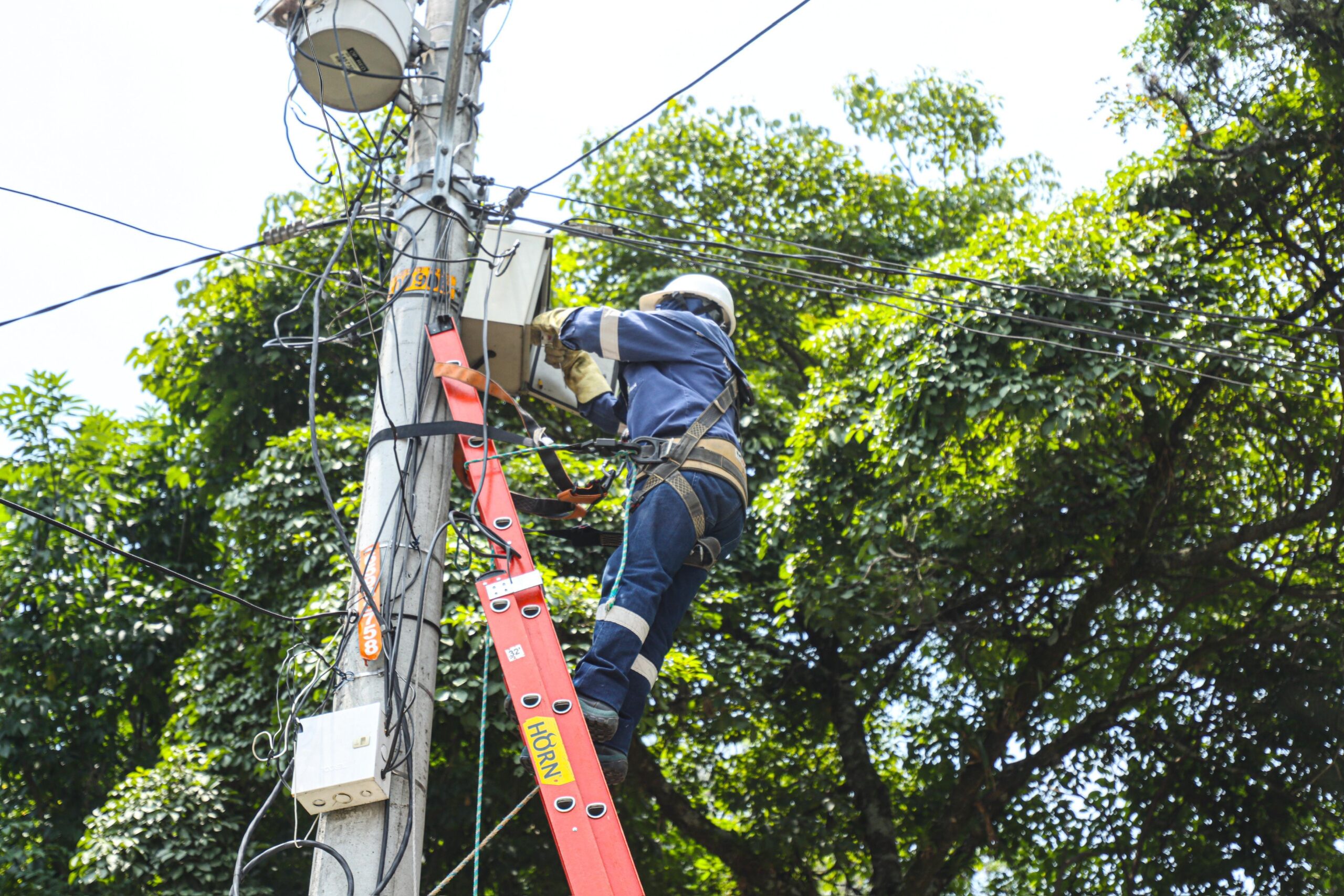 2.000 nuevas luminarias, mantenimiento de plazas y más bicicletas: retos de Infibagué en 2025 1
