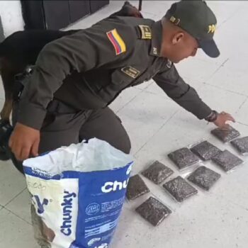 Policía descubre por olfato canino encomienda de marihuana en Espinal 3