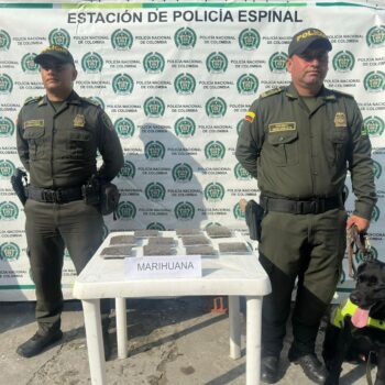 Policía descubre por olfato canino encomienda de marihuana en Espinal 2