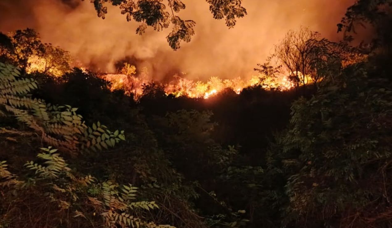 Sigue activo incendio forestal en Prado: Gobernación y organismos de socorro, en alerta 1