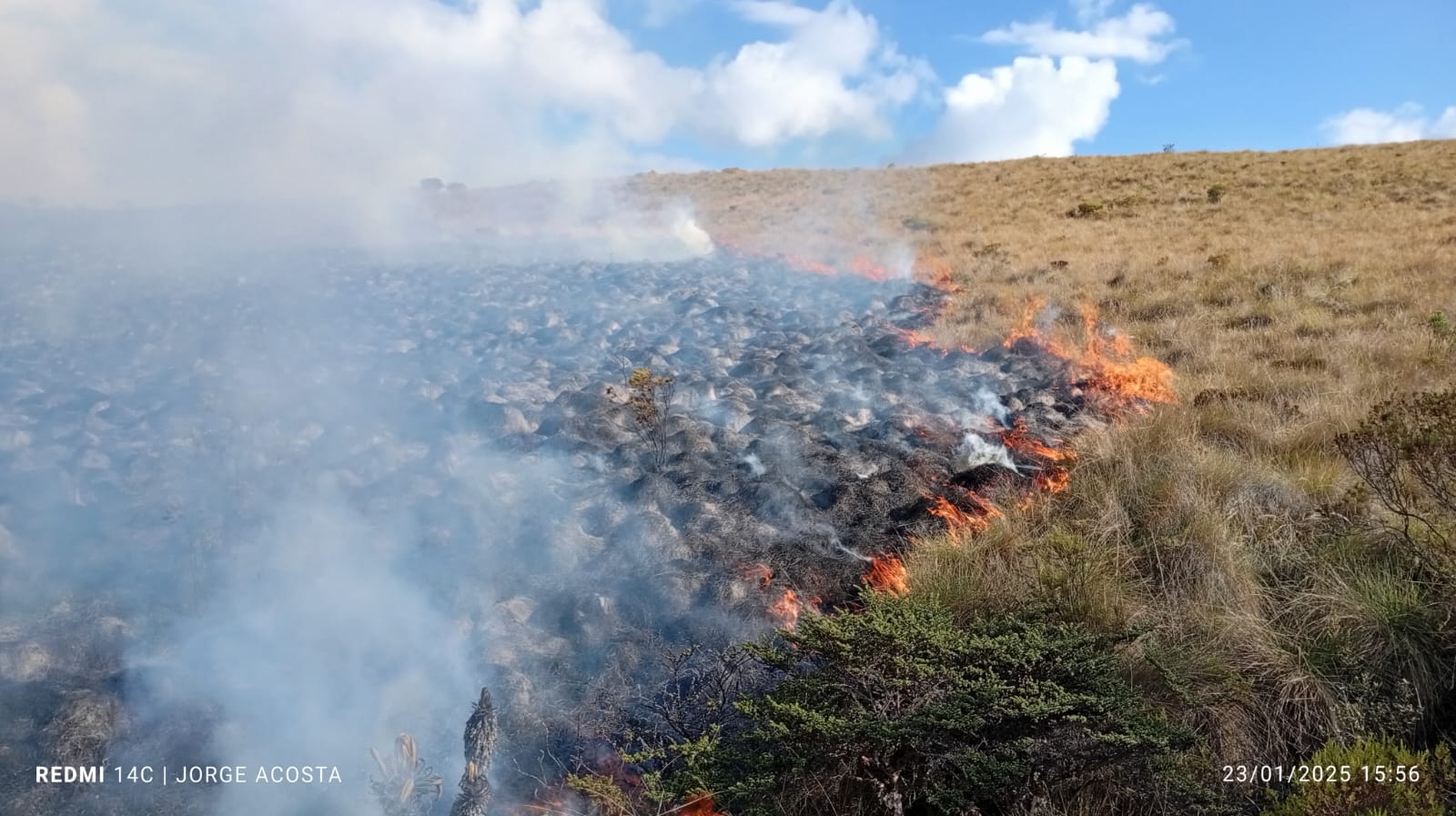 Incendio forestal afecta la Reserva El Toro en Murillo: Gobernación del Tolima monitorea la situación 1