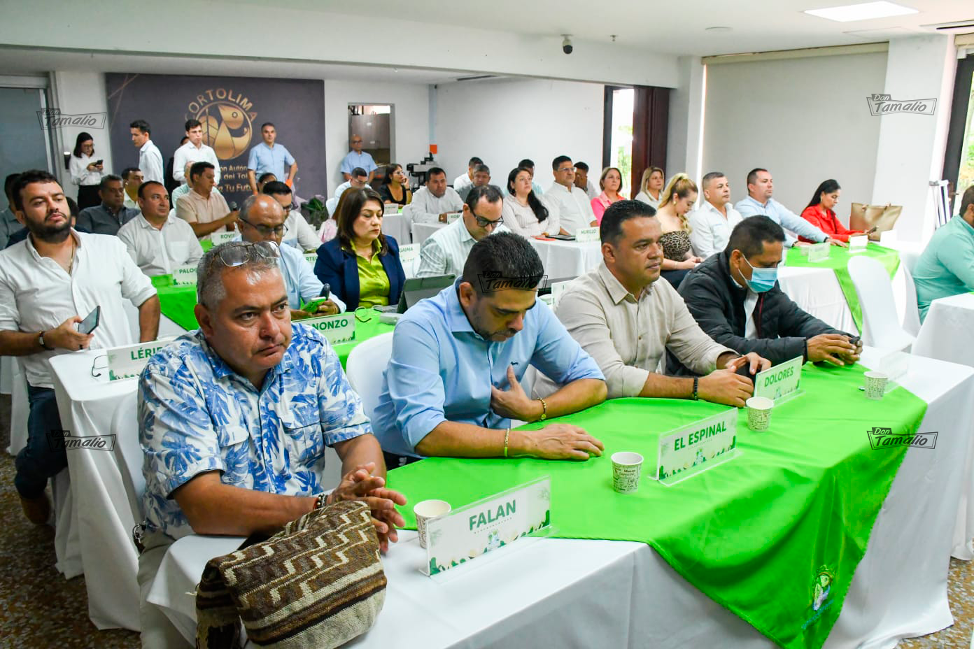 Elegidos los nuevos Alcaldes representantes en el Consejo Directivo de Cortolima para el periodo 2025-2026 1