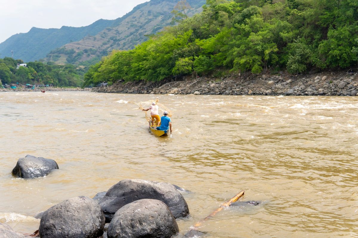 Pescadores y compradores de pescado esperan por la subienda en Honda 1