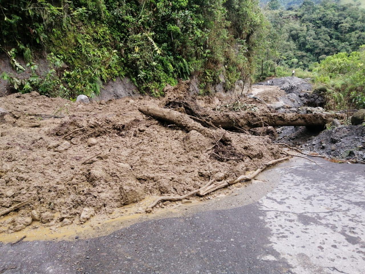 "Tres incendios y más de diez emergencias por lluvias en Tolima en ocho días": Secretaria de Ambiente 1