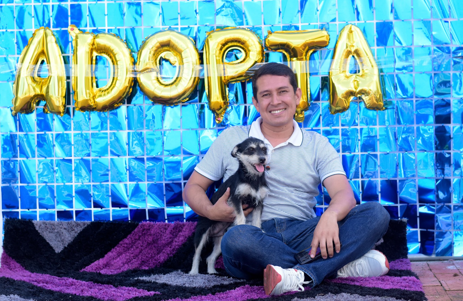Este sábado jornada de adopción de perros y gatos en el Dog Park de Macadamia 1