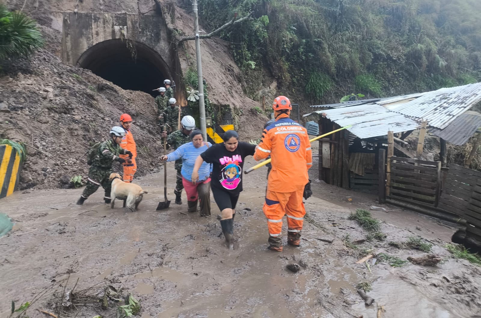 "Son 33 municipios en el Tolima afectados por lluvias e inundaciones, en alerta naranja": Andrea Mayorquín 1