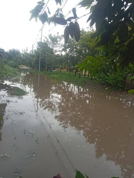 Barrio Fátima de Espinal denuncia inundaciones recurrentes por fallas en el canal de Usocoello 2