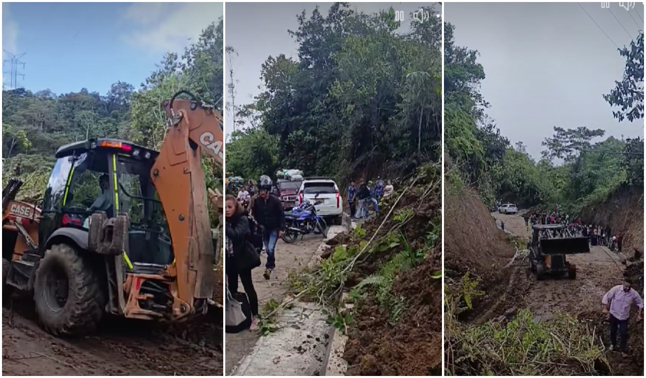 Alcalde de Casabianca, preocupado por la cosecha de café ante afectaciones por lluvias 3