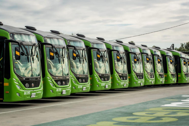 SETP gestionó estudio para electrificar la flota de buses en Ibagué sin costo para la ciudad 1