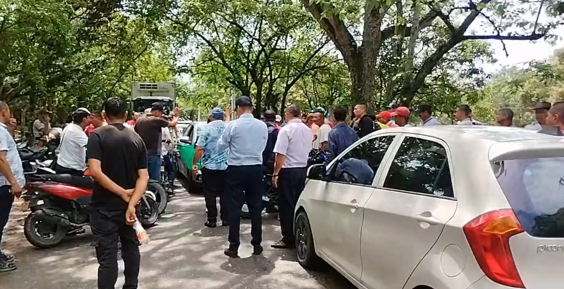 Productores de limón en San Luis, Tolima, se van a paro exigiendo precios justos 1