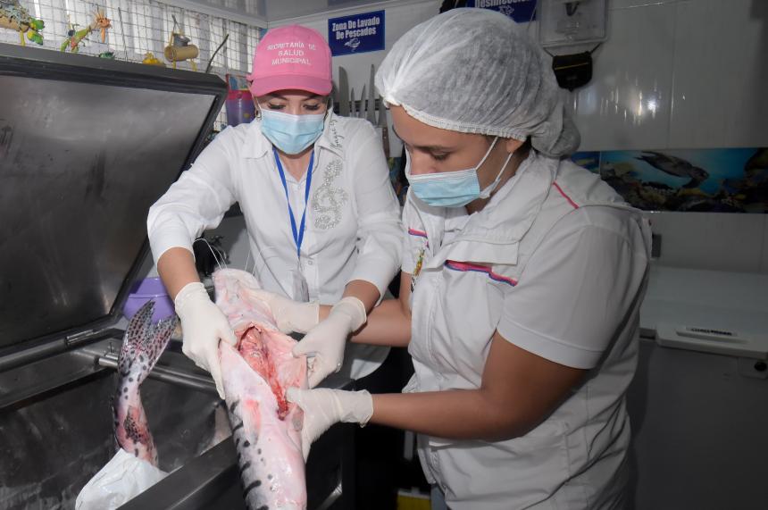 Megatoma a Plaza de El Jardín: verificaron productos comercializados 2