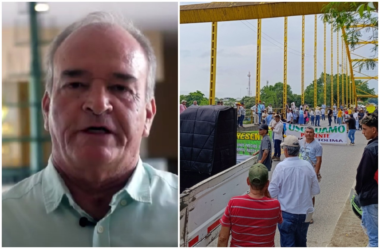 "Estamos esperando que el Presidente nos atienda": Roberto Botero de Dignidad Arrocera del Tolima 1