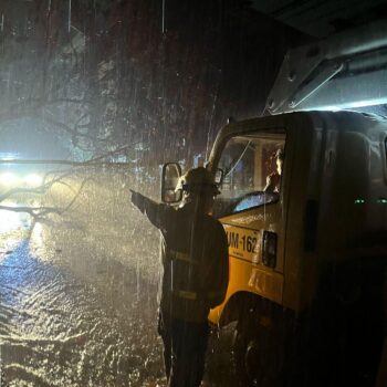 Fuertes lluvias en Ibagué generan emergencias por árboles caídos y afectación en redes eléctricas 3
