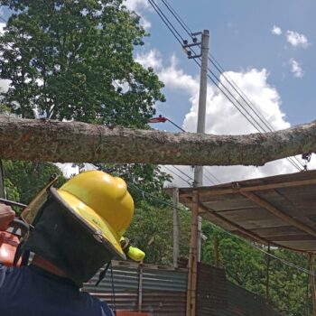 Fuertes lluvias en Ibagué generan emergencias por árboles caídos y afectación en redes eléctricas 2