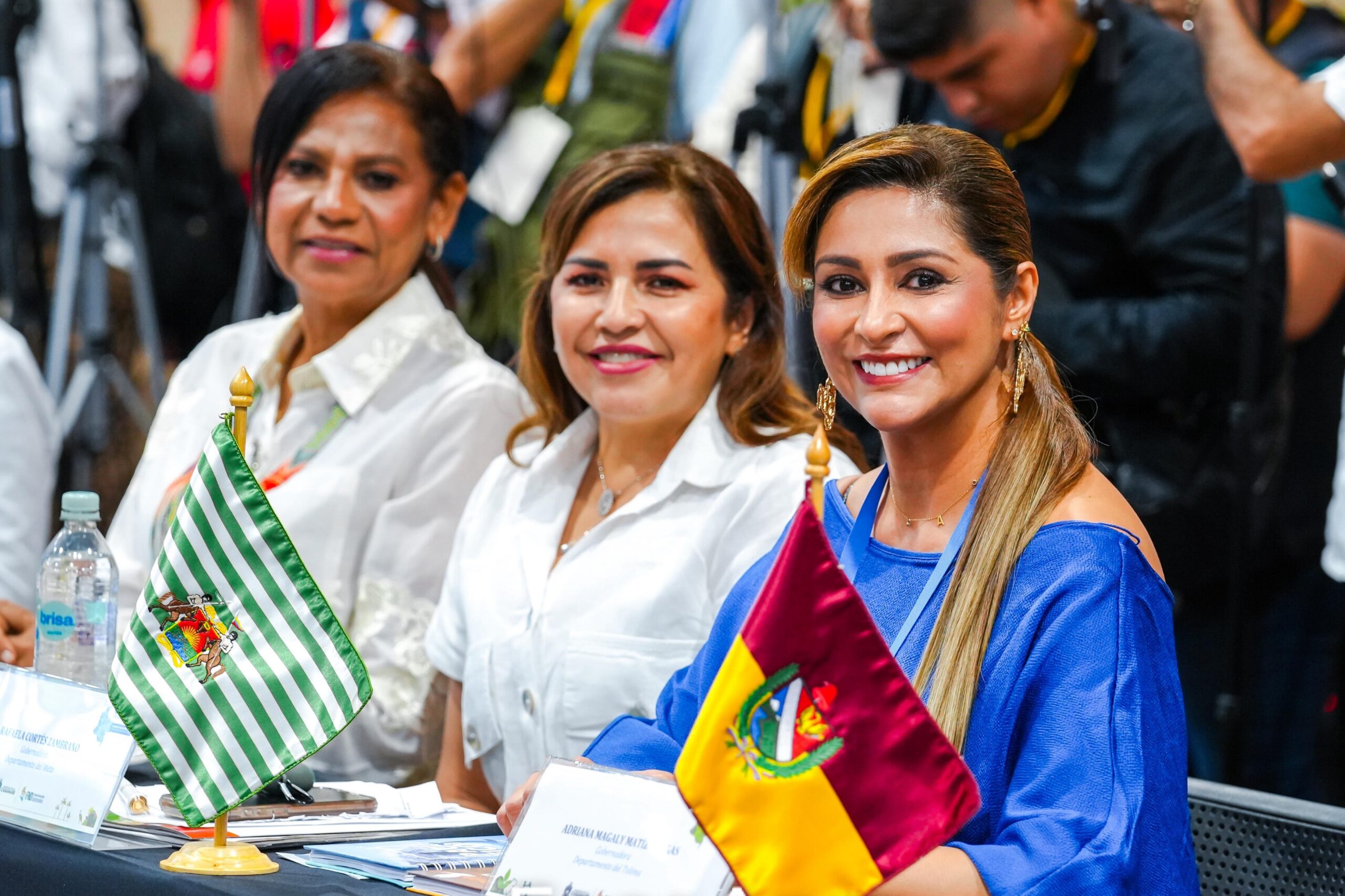 Gobernadora del Tolima invitó a reflexionar frente al riesgo de la fiebre amarilla: ¿$700 mil millones para una consulta o para salvar vidas? 2