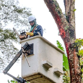 Infibagué recuperó las redes de alumbrado público afectadas por la emergencia en el Cañón del Combeima 4