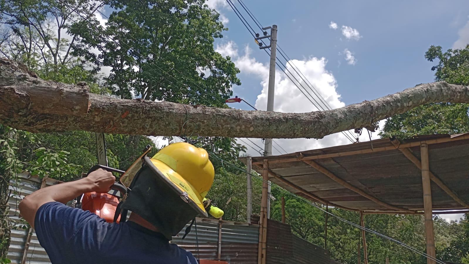 Bomberos de Ibagué recuerda su papel integral en emergencias tras hallazgo de joven desaparecido 2