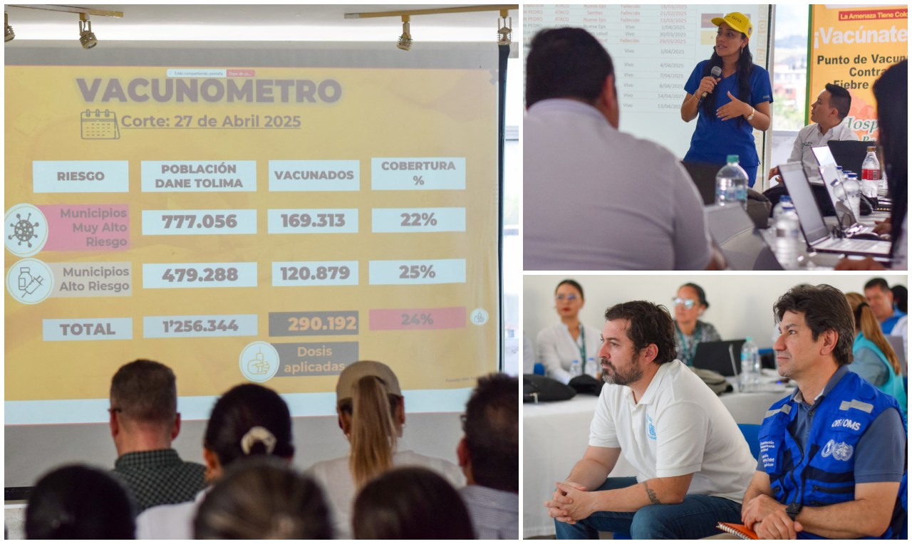 Gobierno departamental lidera mesa técnica con expertos y alcaldes en el sur del Tolima para contener fiebre amarilla 1