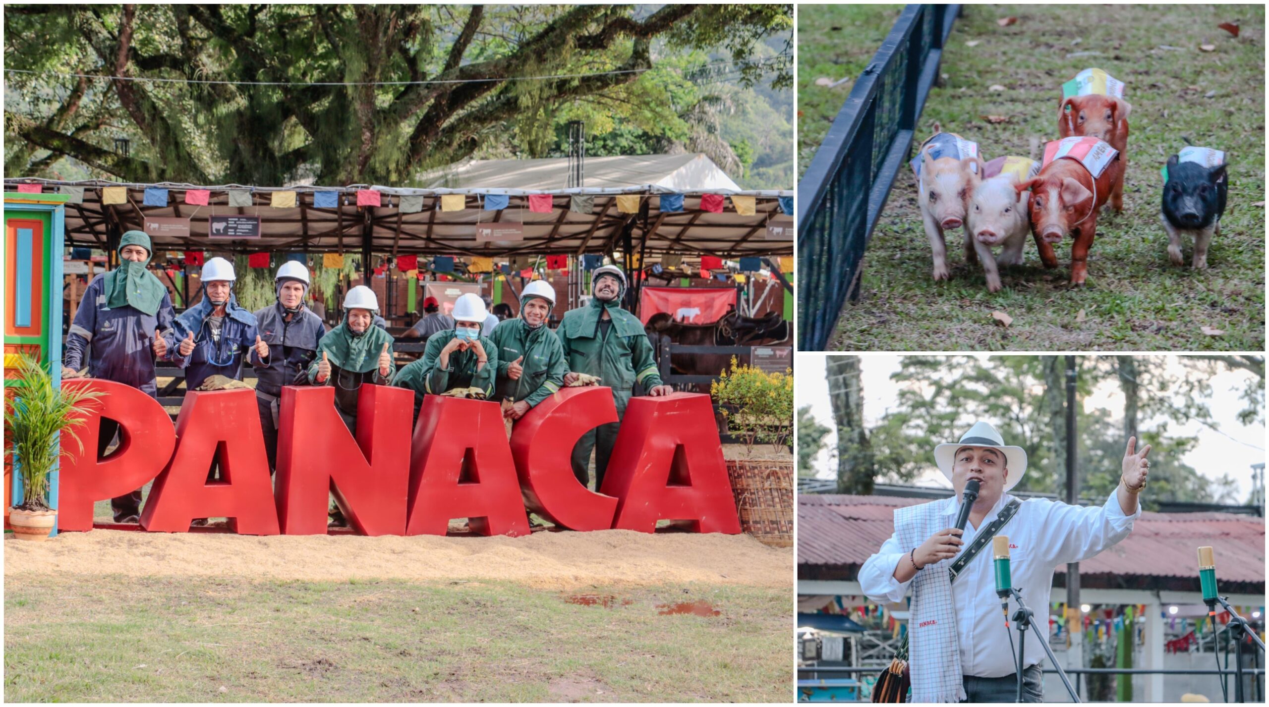 La magia del campo se vivirá en Ibagué con Panaca Viajero 1
