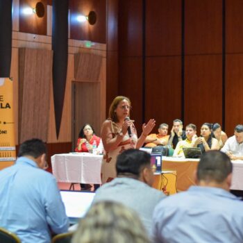 Tolima presentó plan de choque contra fiebre amarilla en PMU con Ministerio de Salud 2