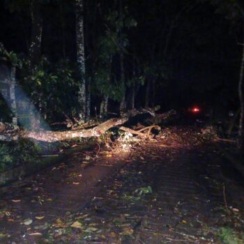 En Tolima 29 municipios están en alerta roja por riesgo de deslizamiento: Secretaría de Ambiente 3