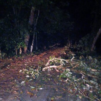 En Tolima 29 municipios están en alerta roja por riesgo de deslizamiento: Secretaría de Ambiente 4