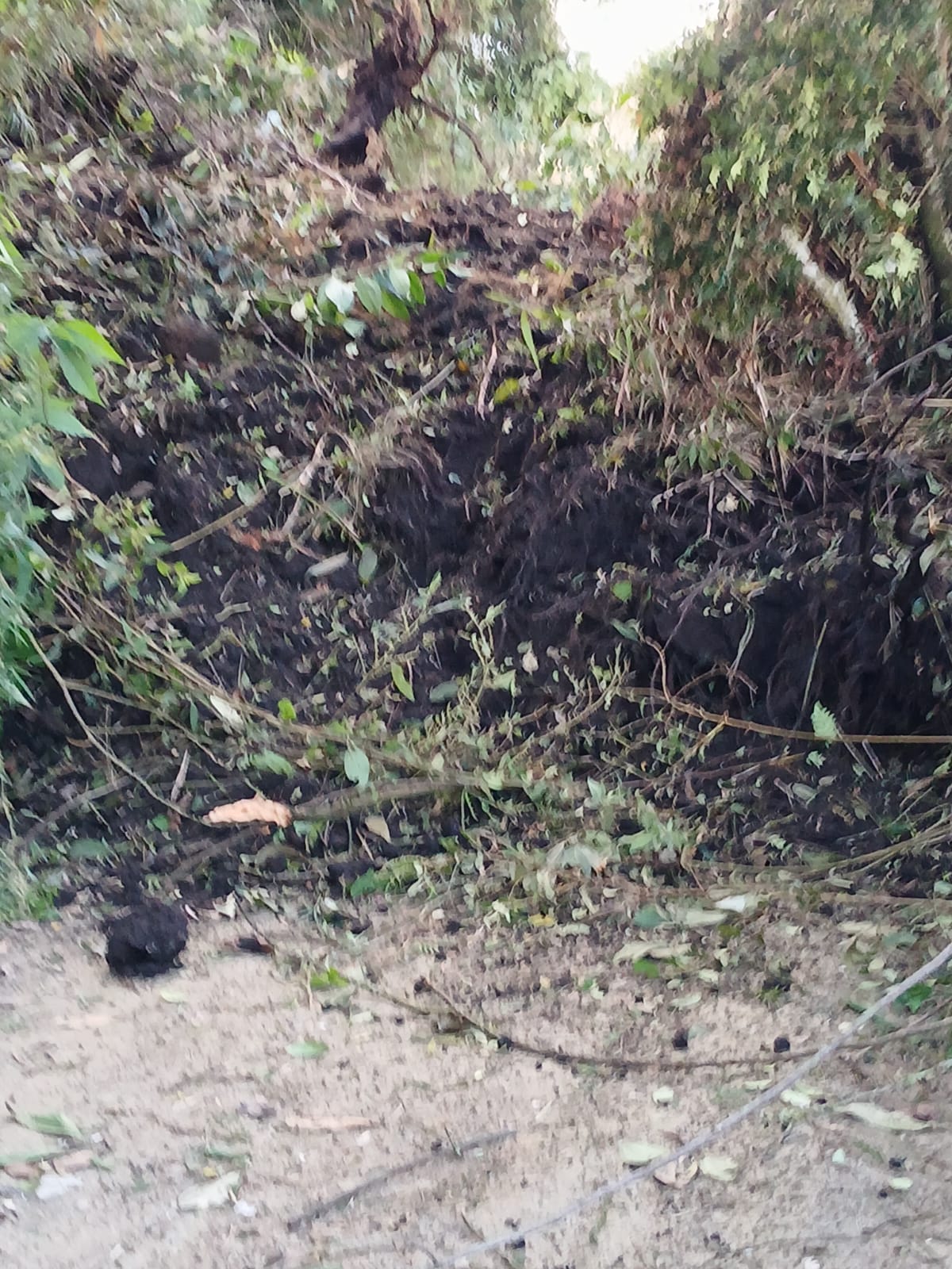 14 municipios del Tolima han declarado la calamidad publica para atender las emergencias por lluvias 3