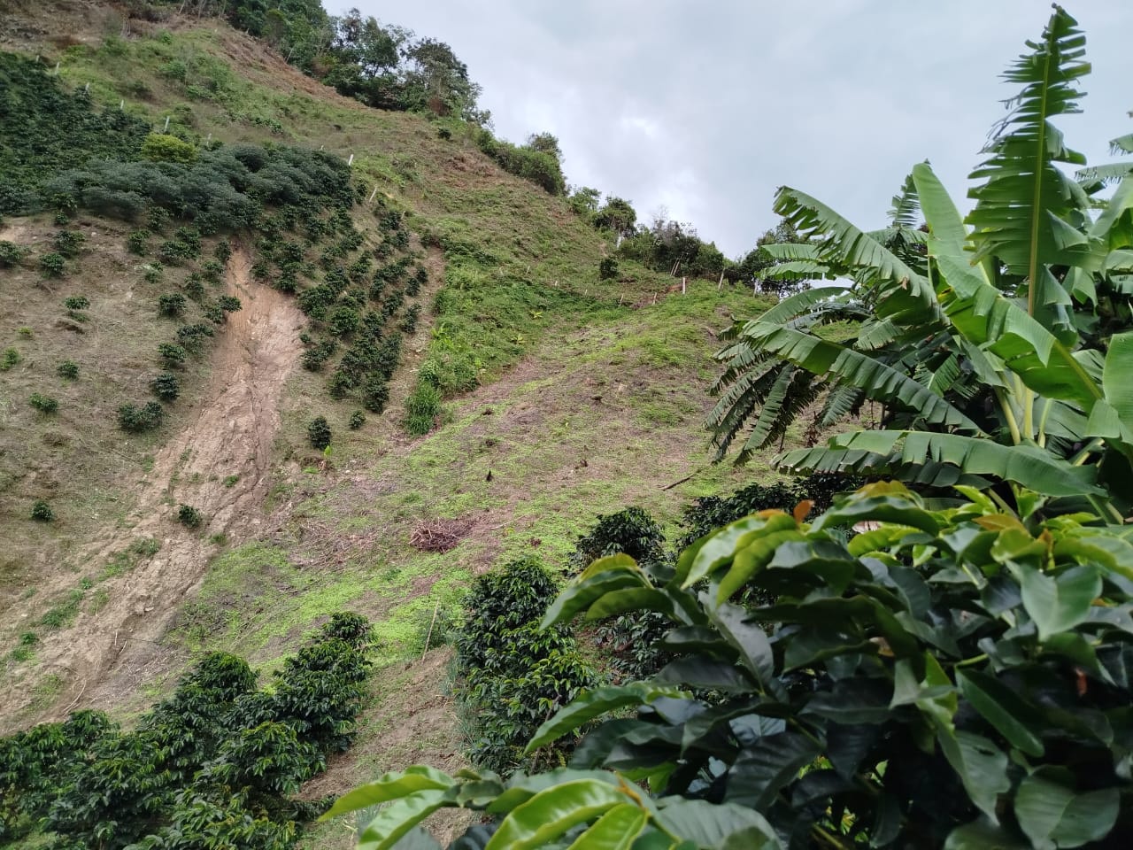 14 municipios del Tolima han declarado la calamidad publica para atender las emergencias por lluvias 4