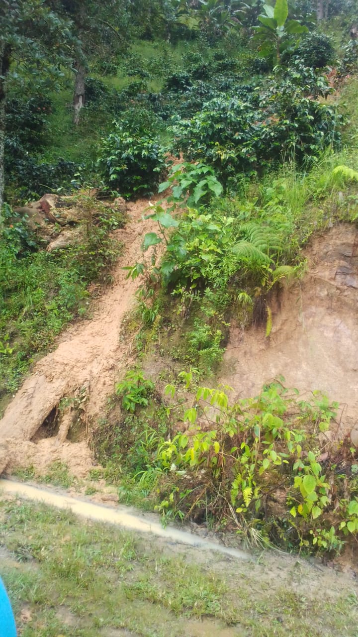 14 municipios del Tolima han declarado la calamidad publica para atender las emergencias por lluvias 5