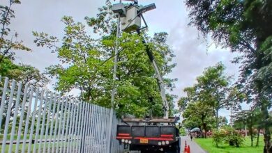 Infibagué inició reposición de luminarias solares en la ciclorruta de la vía al Aeropuerto Perales 6
