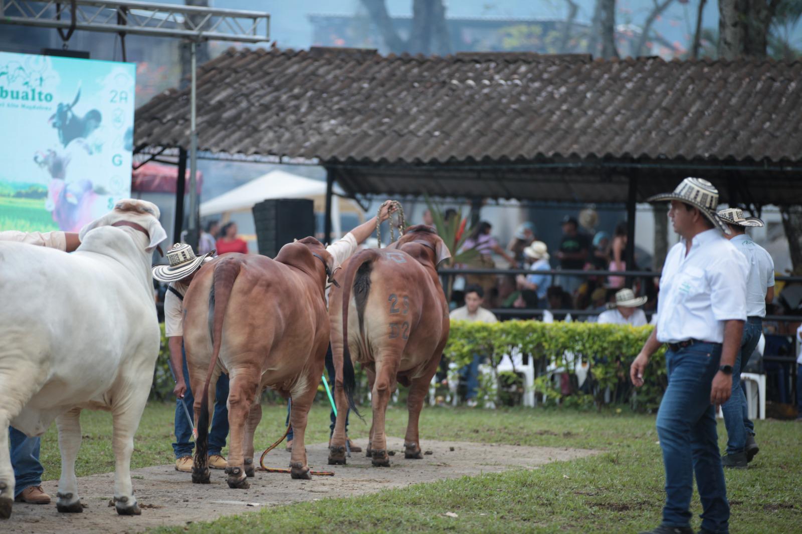 Definida programación de la Feria Agropecuaria e Industrial de Ibagué 7