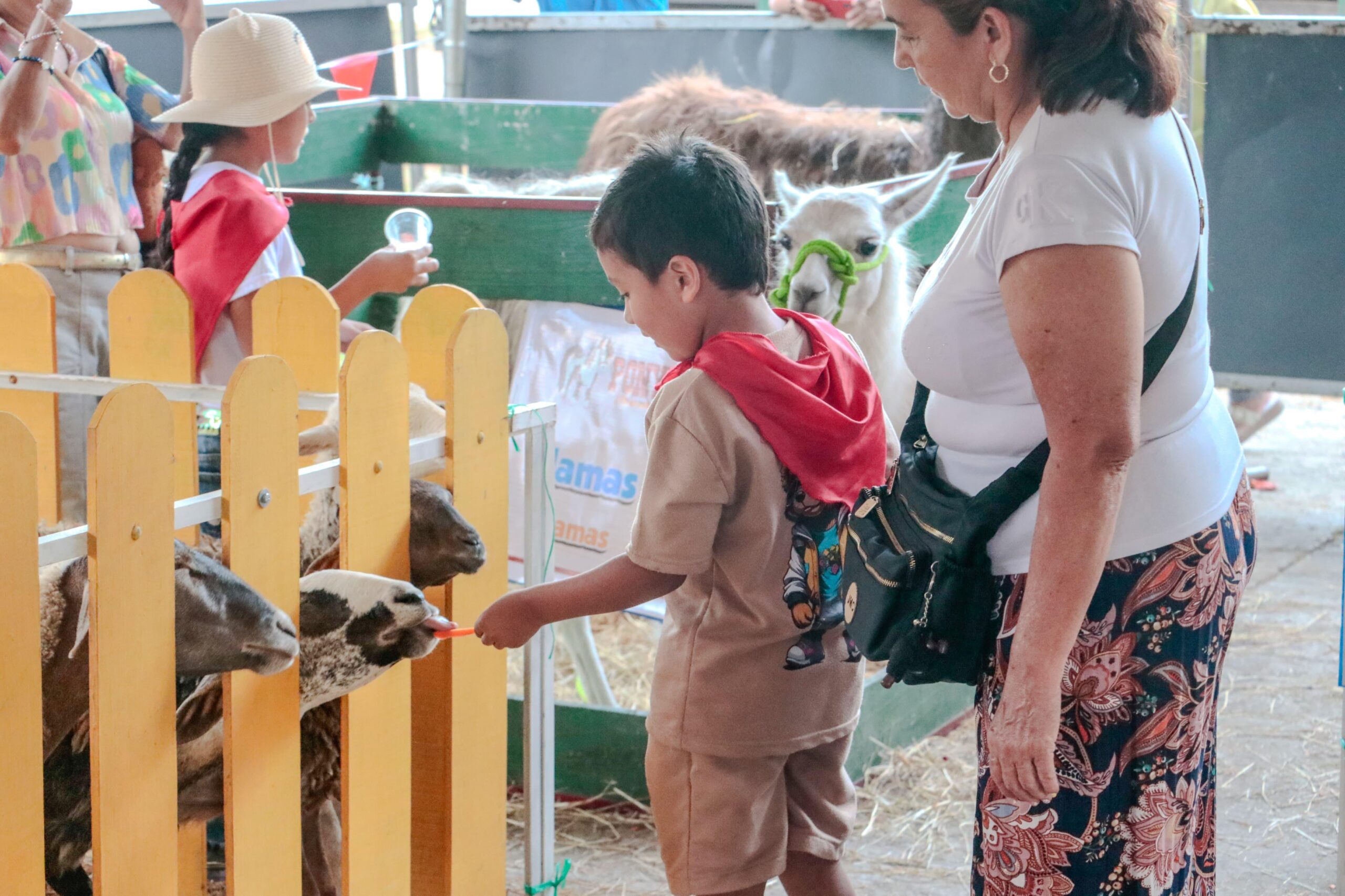 Con nutrida agenda Feria Agropecuaria de Ibagué está lista para recibir a visitantes 1