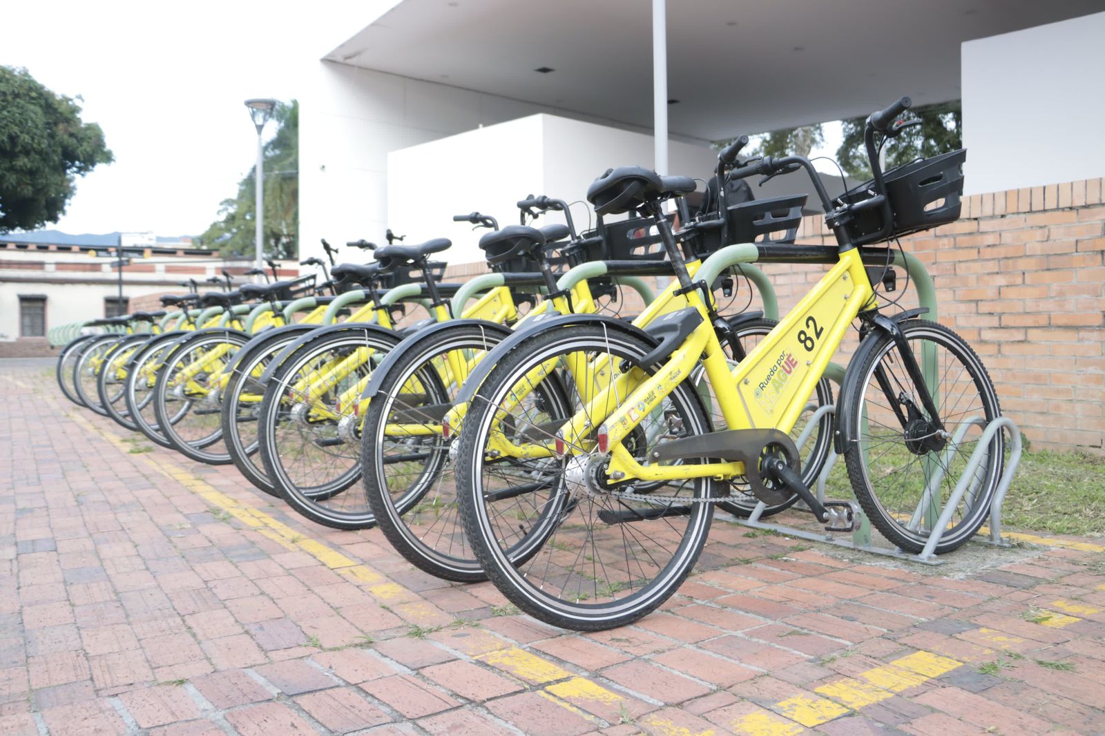Este viernes no habrá servicio de bicicletas públicas en Ibagué 1