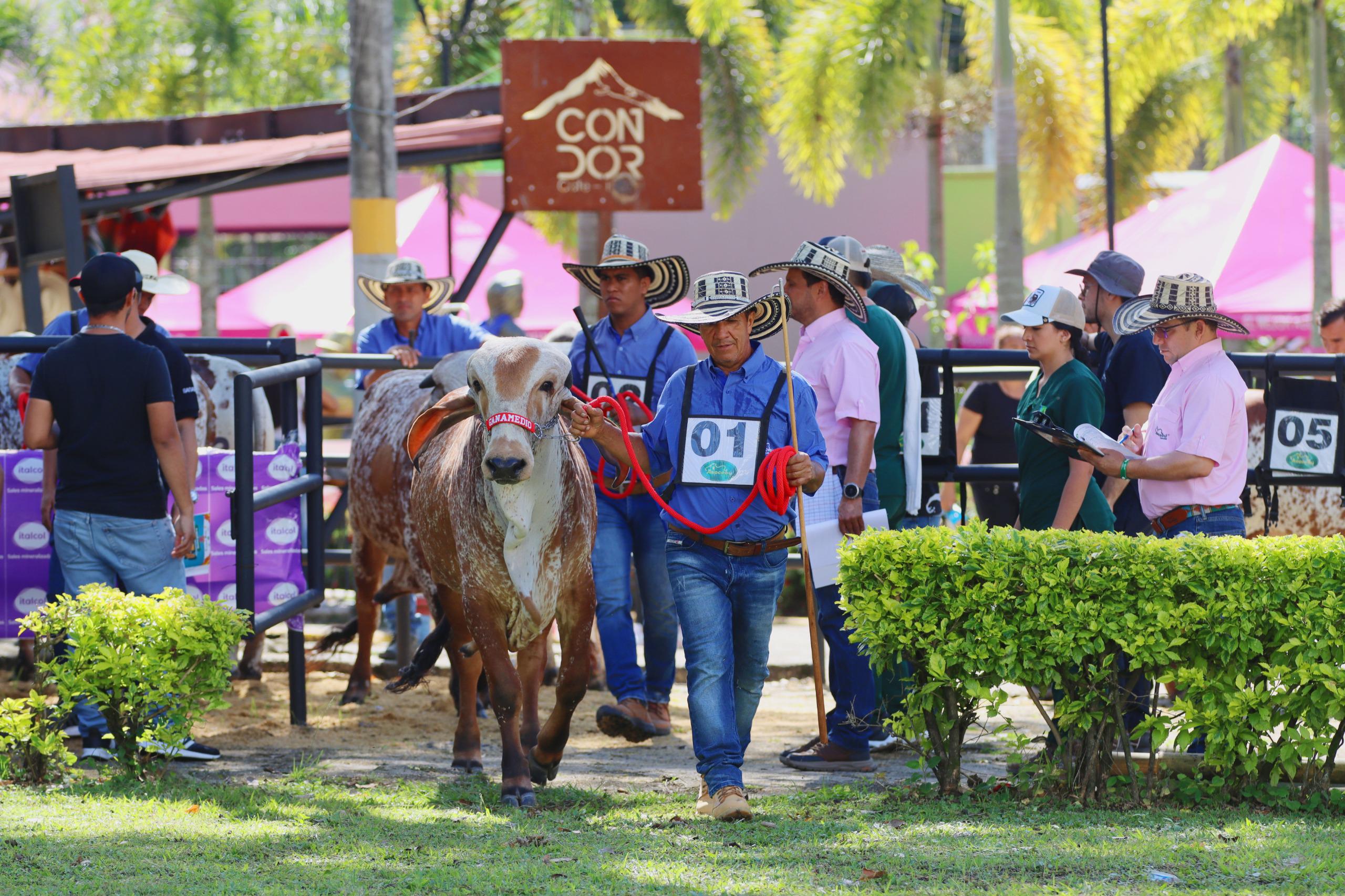 Así será la Feria Agropecuaria de Ibagué en su versión 57 3