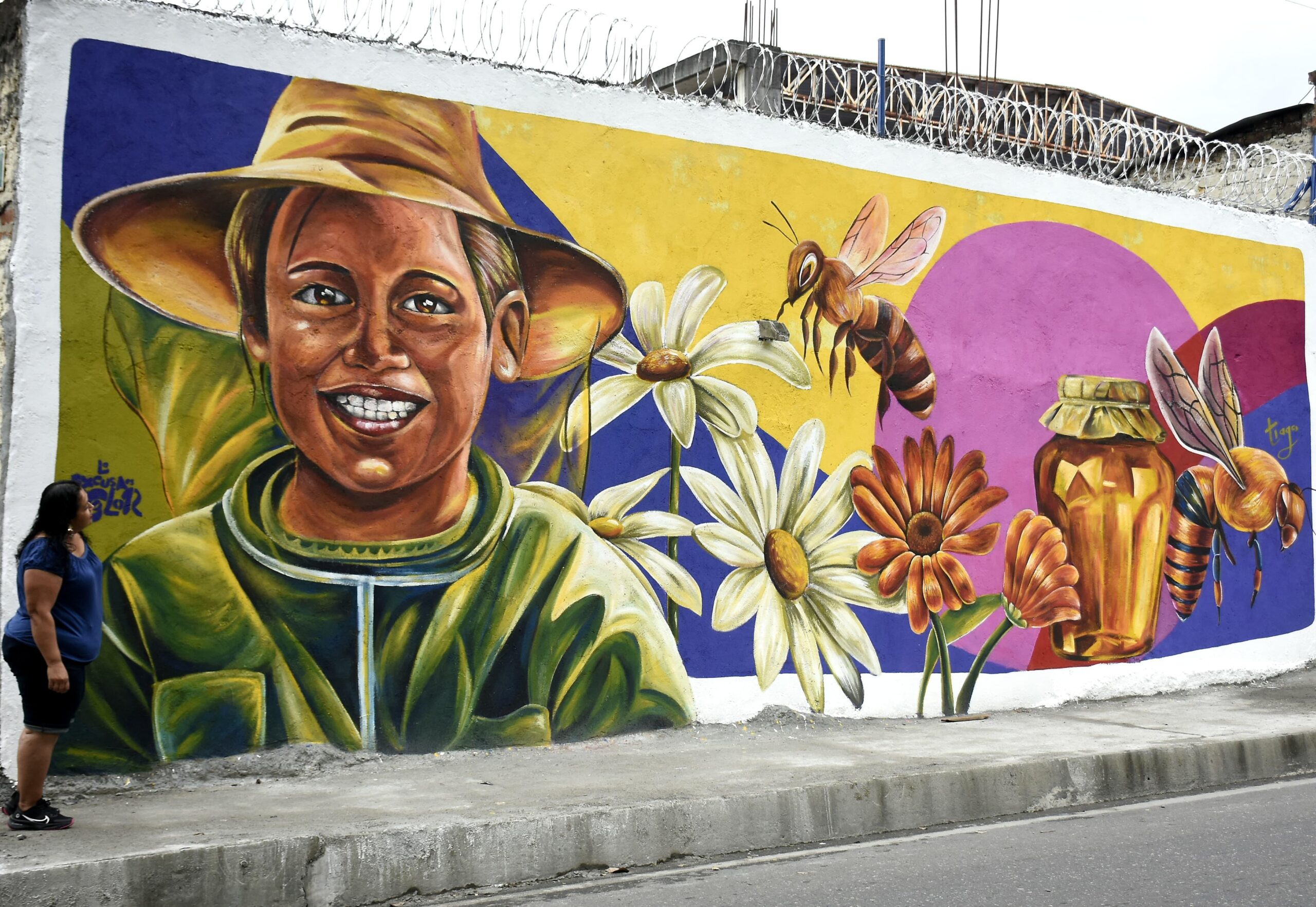 Entregan un nuevo mural que fomenta el cuidado de las abejas y el medio ambiente en Ibagué 3