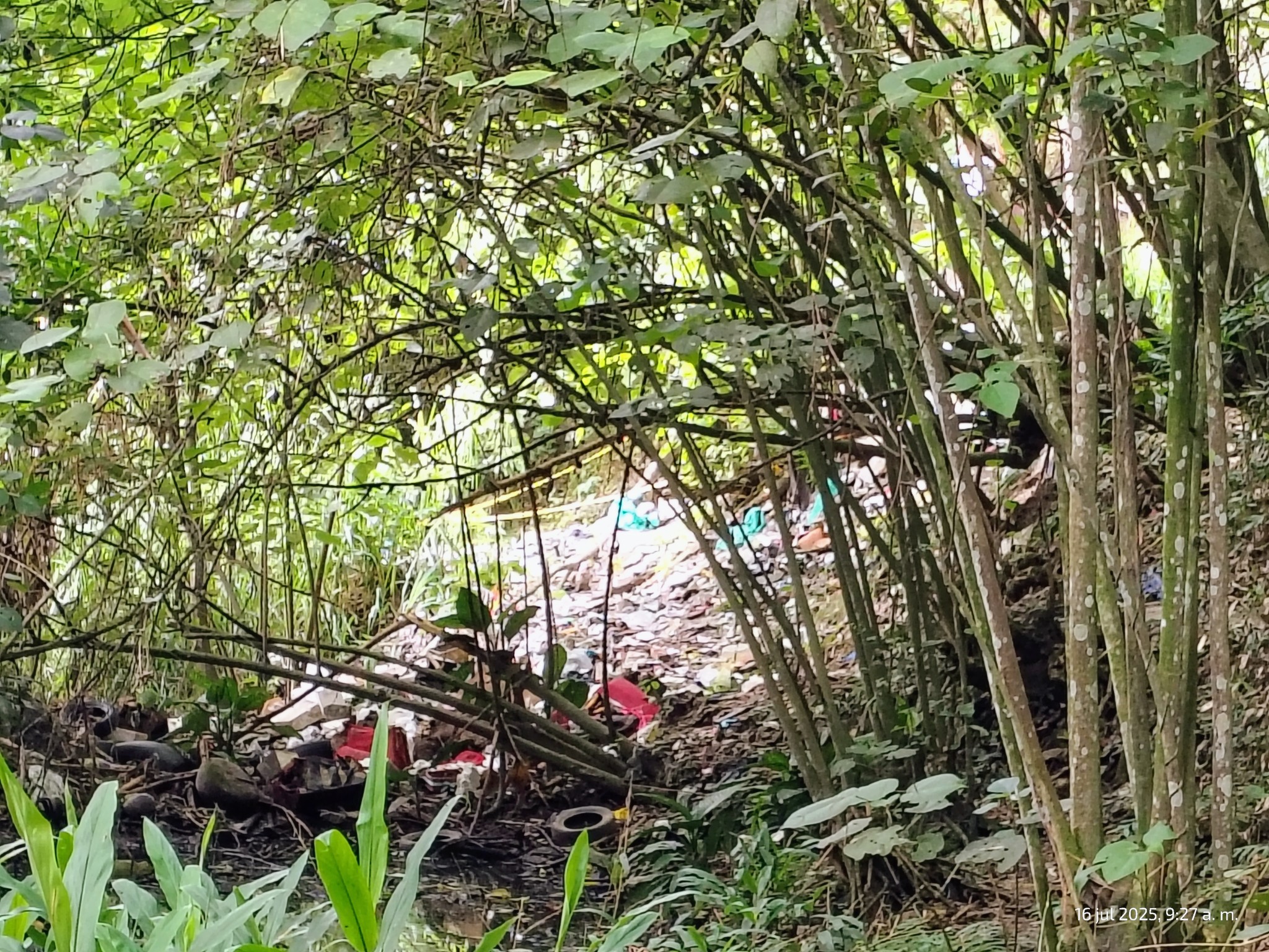¡Macabro hallazgo en el centro de Ibagué! Cuerpo sin vida fue encontrado envuelto en una sábana en el Parque de La Paz 1