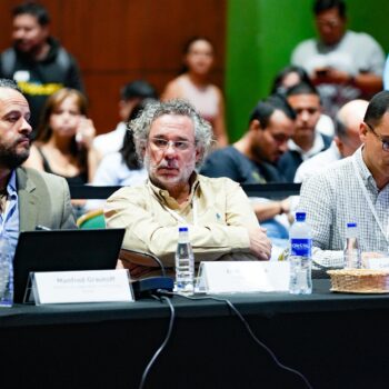 “No podemos legalizar lo ilegal”: Gobernadora del Tolima lanza fuerte advertencia sobre proyecto de ley de paz 11