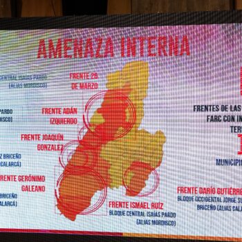 “No podemos legalizar lo ilegal”: Gobernadora del Tolima lanza fuerte advertencia sobre proyecto de ley de paz 10