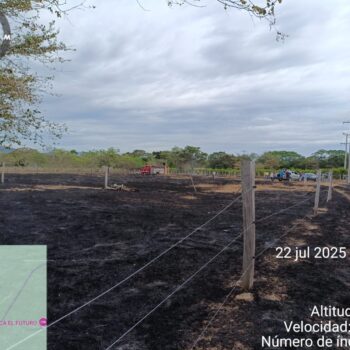 28 municipios del Tolima en alerta roja y 11 en alerta naranja por probabilidad de incendios 4