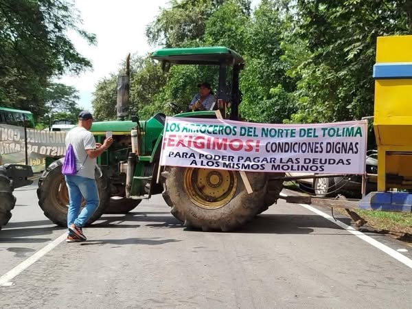Arroceros anuncian paro nacional a partir del 14 de julio 1