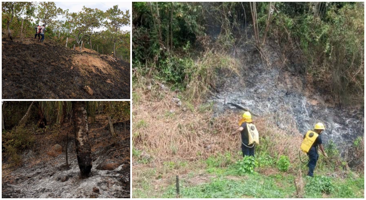 Ortega en alerta roja por incendios forestales: Alcalde refuerza apoyo a organismos de socorro 1