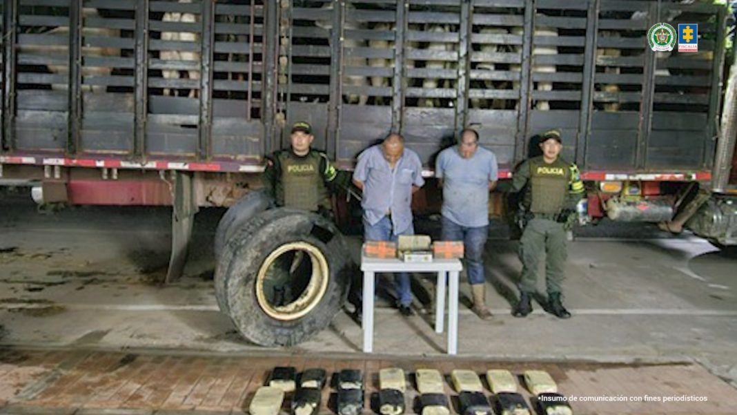 Asegurados dos hombres que transportaban 47 kilos de coca en camión con ganado en Natagaima 1