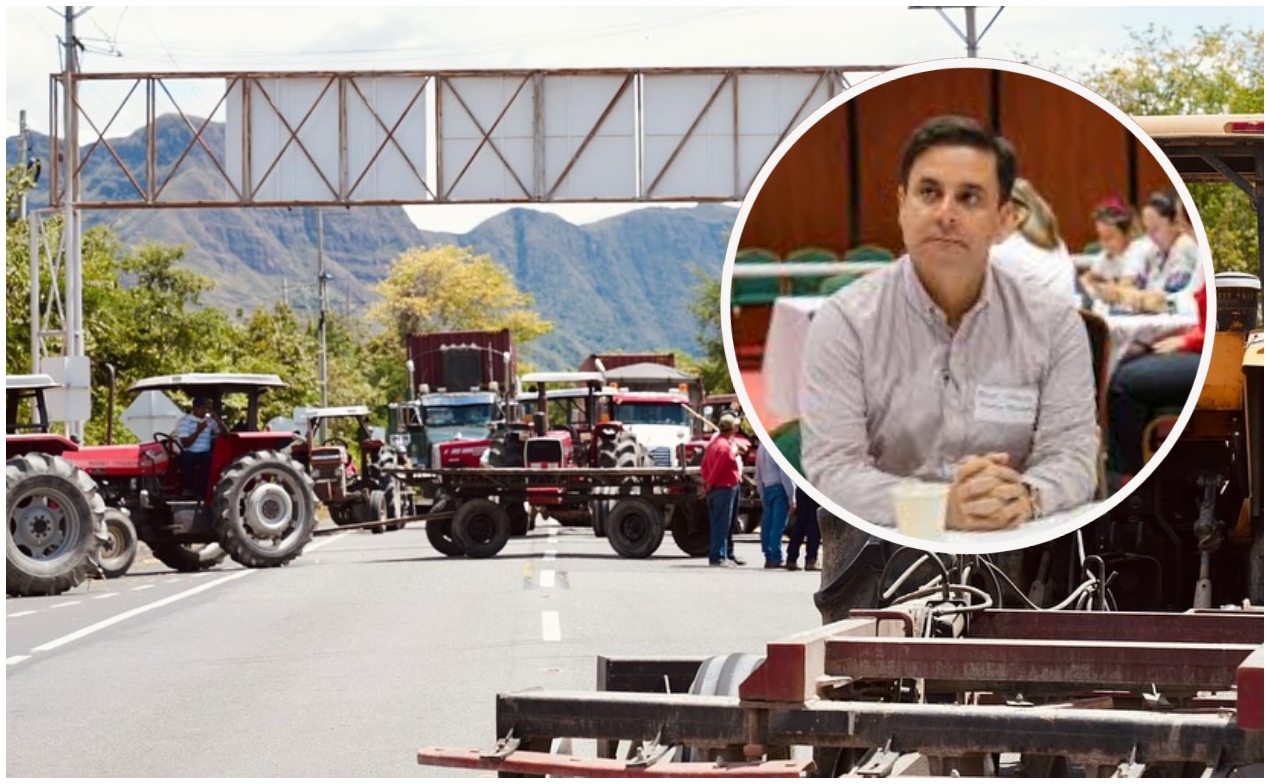 Presidente de Gremios del Tolima alerta por afectación multisectorial del paro arrocero 1