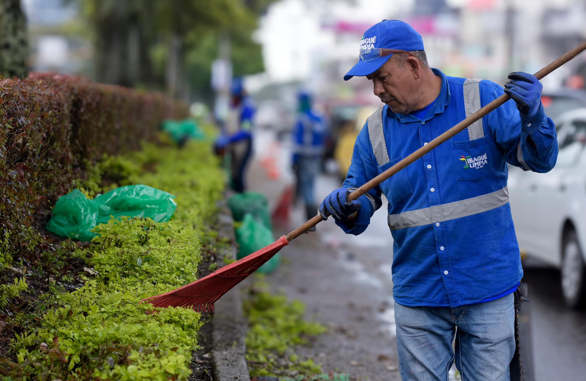 Aranda sigue sacando al ‘hurtadismo’ de su administración: ahora la poda llegó a Ibagué Limpia 1