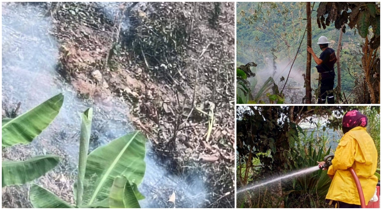 Tolima en alerta: ya van 16 incendios forestales en la temporada seca 1